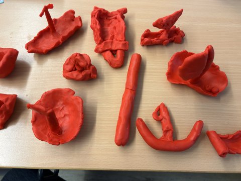 Schwimmen und Sinken Bild 1